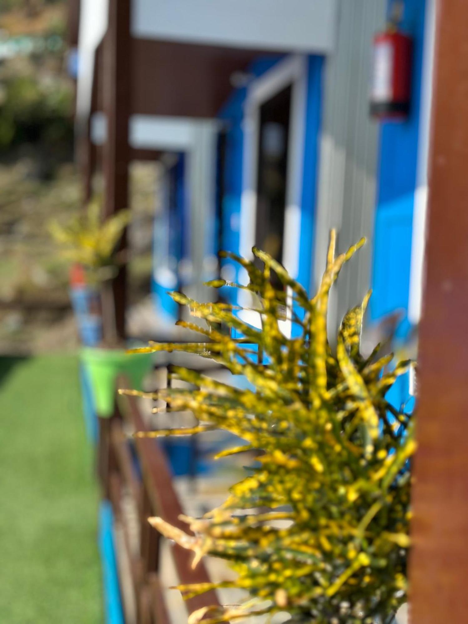 Lake Haven Resort, Sari, Chopta エクステリア 写真